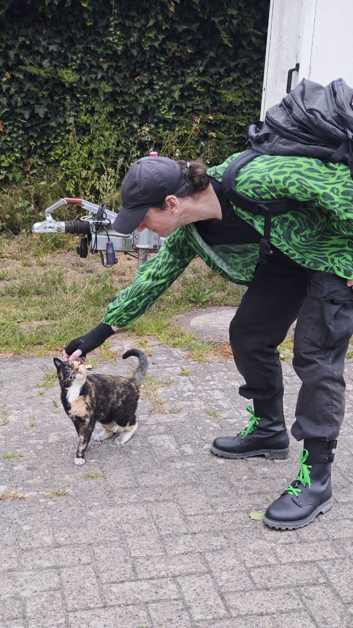 Gasher krault Katze