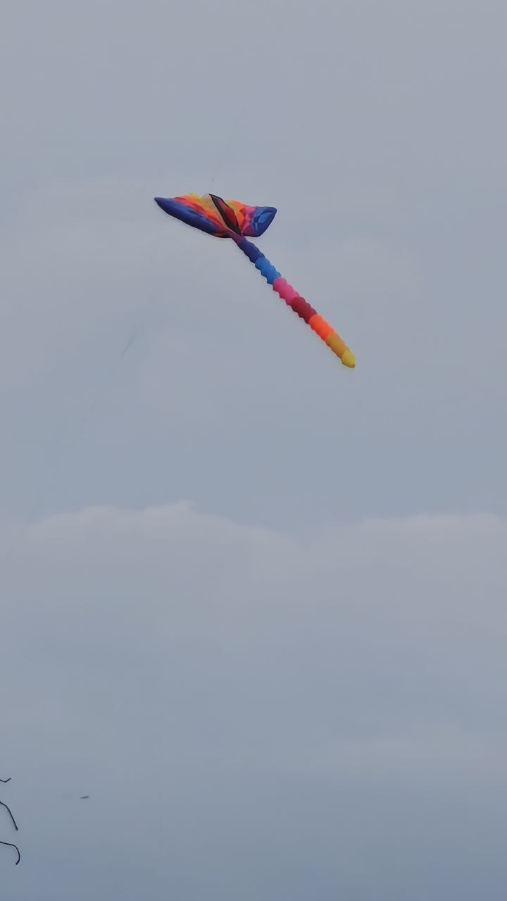 Drachen