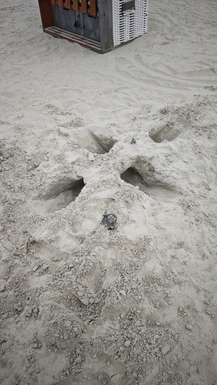 Sandtunnelei