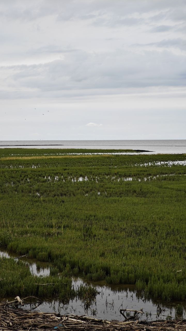 Nordsee