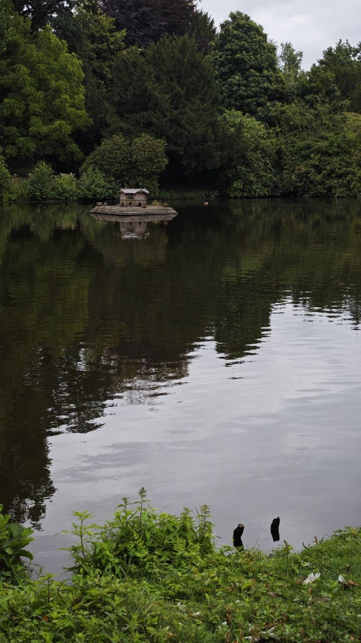 Vogelinsel